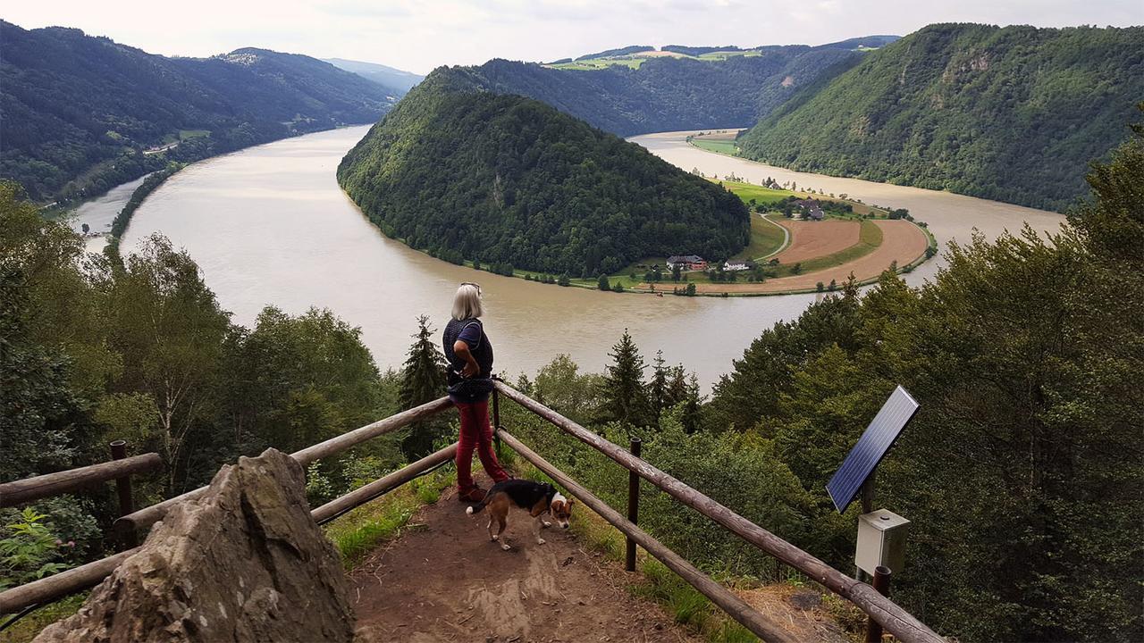 Gasthof 'Zum Alten Turm' Haslach an der Muhl Экстерьер фото